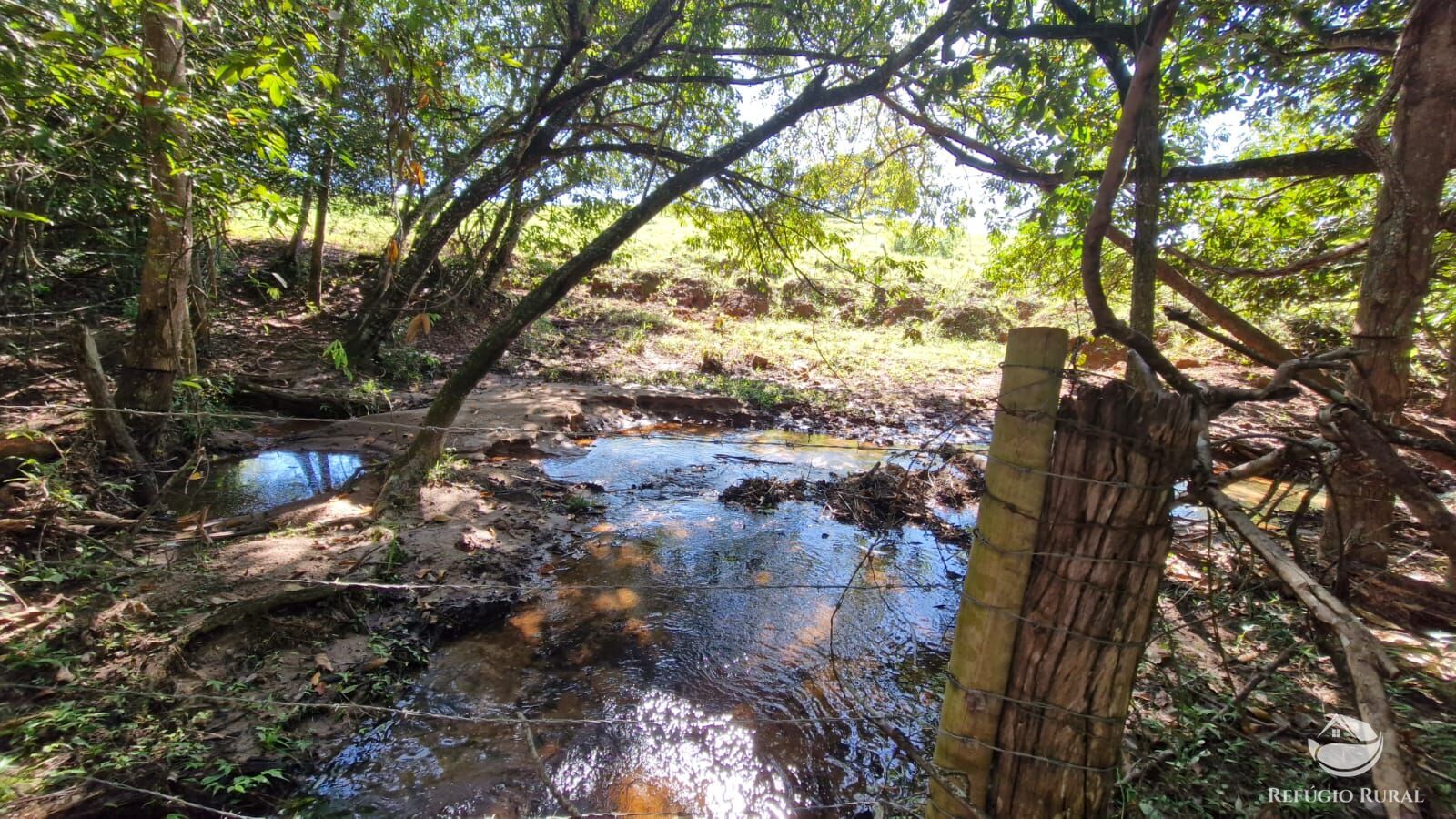 Fazenda à venda com 4 quartos, 822800m² - Foto 48