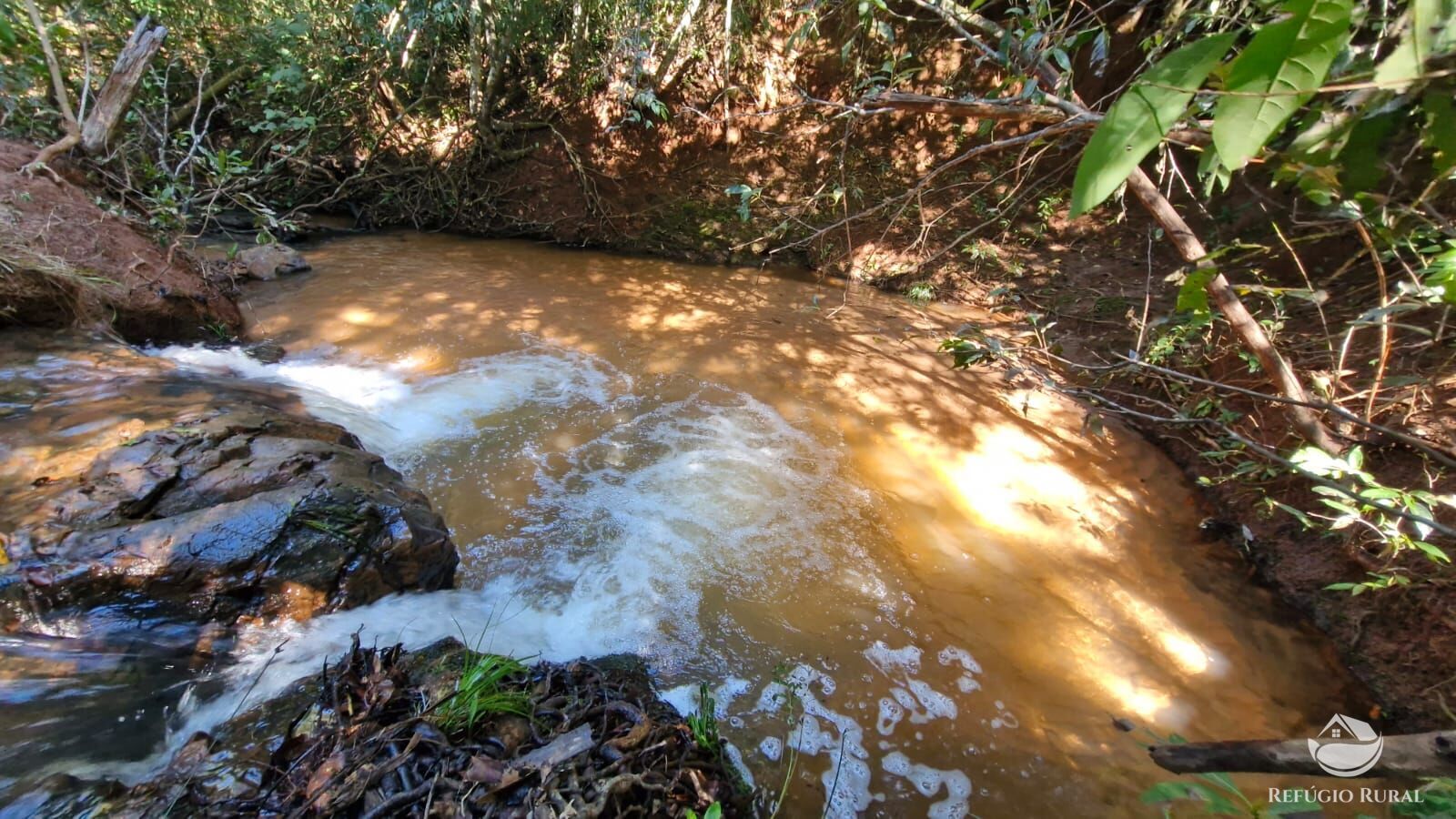 Fazenda à venda com 4 quartos, 822800m² - Foto 21