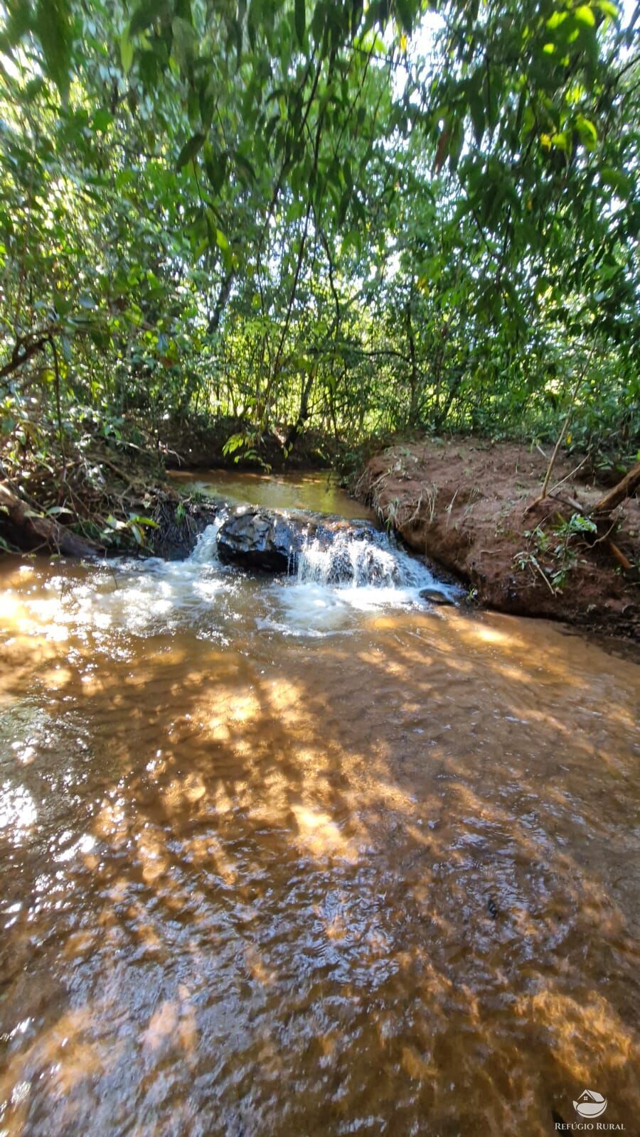 Fazenda à venda com 4 quartos, 822800m² - Foto 44