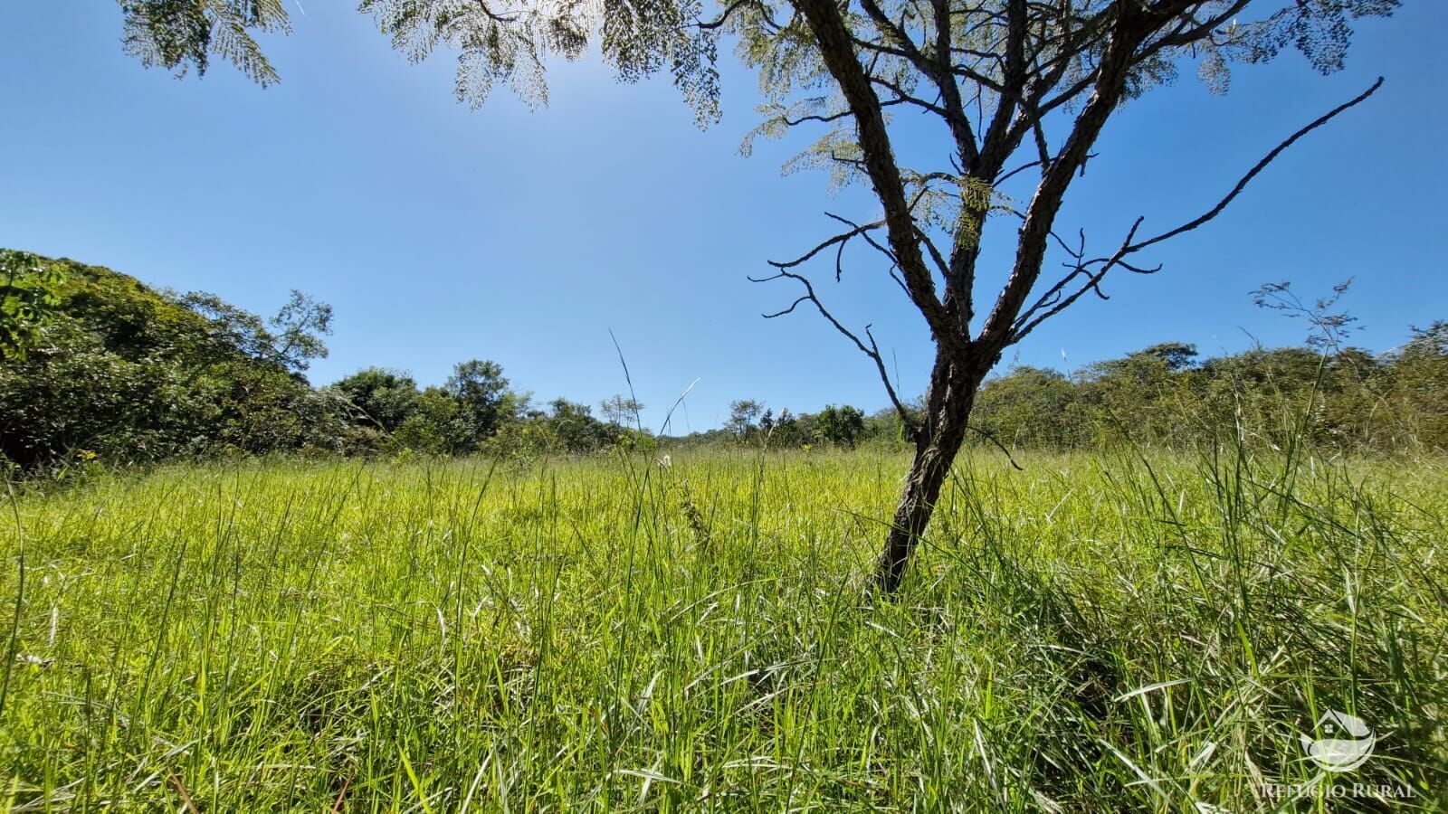 Fazenda à venda com 4 quartos, 822800m² - Foto 46