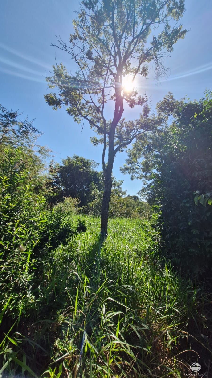 Fazenda à venda com 4 quartos, 822800m² - Foto 9