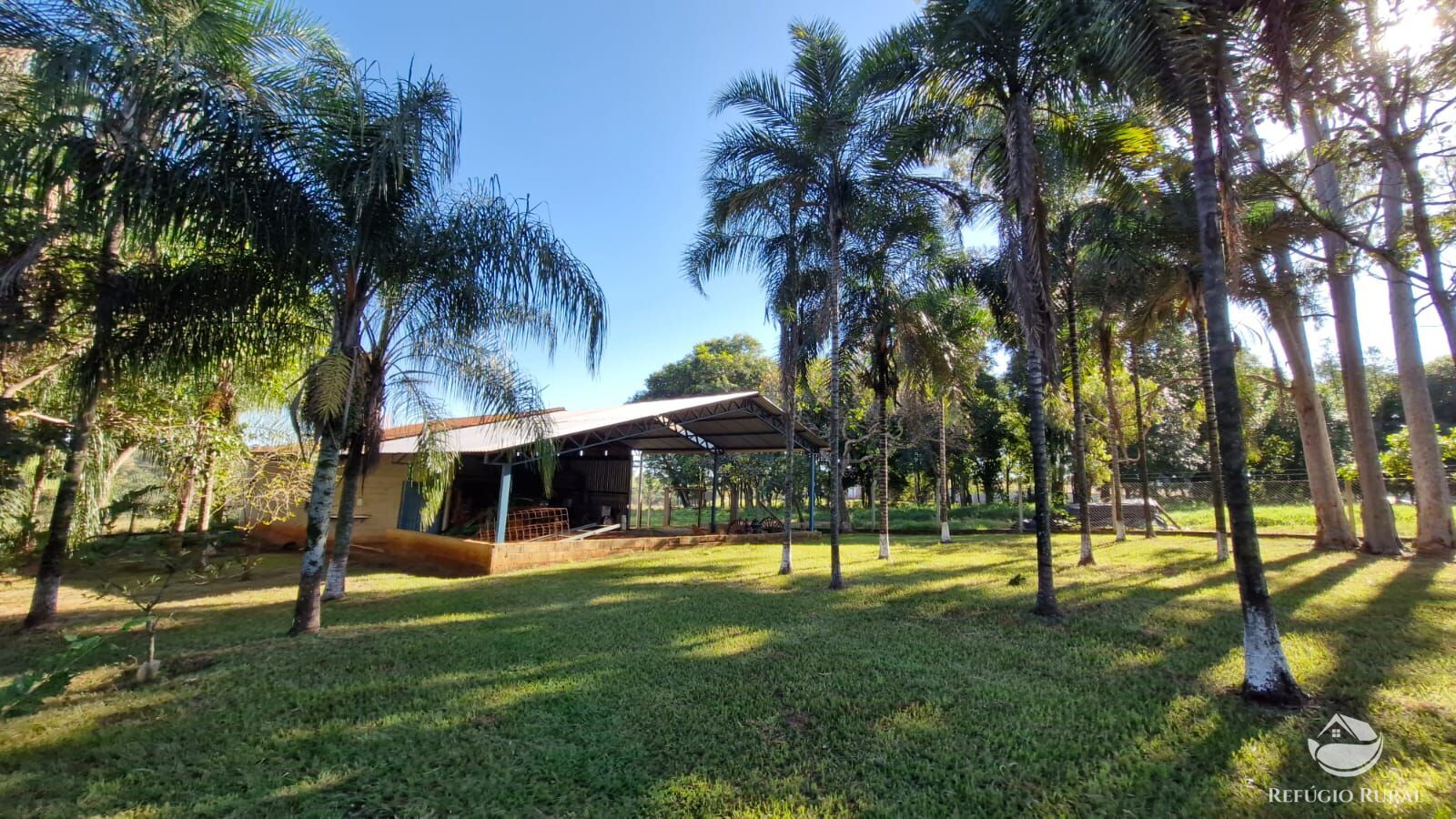 Fazenda à venda com 4 quartos, 822800m² - Foto 6