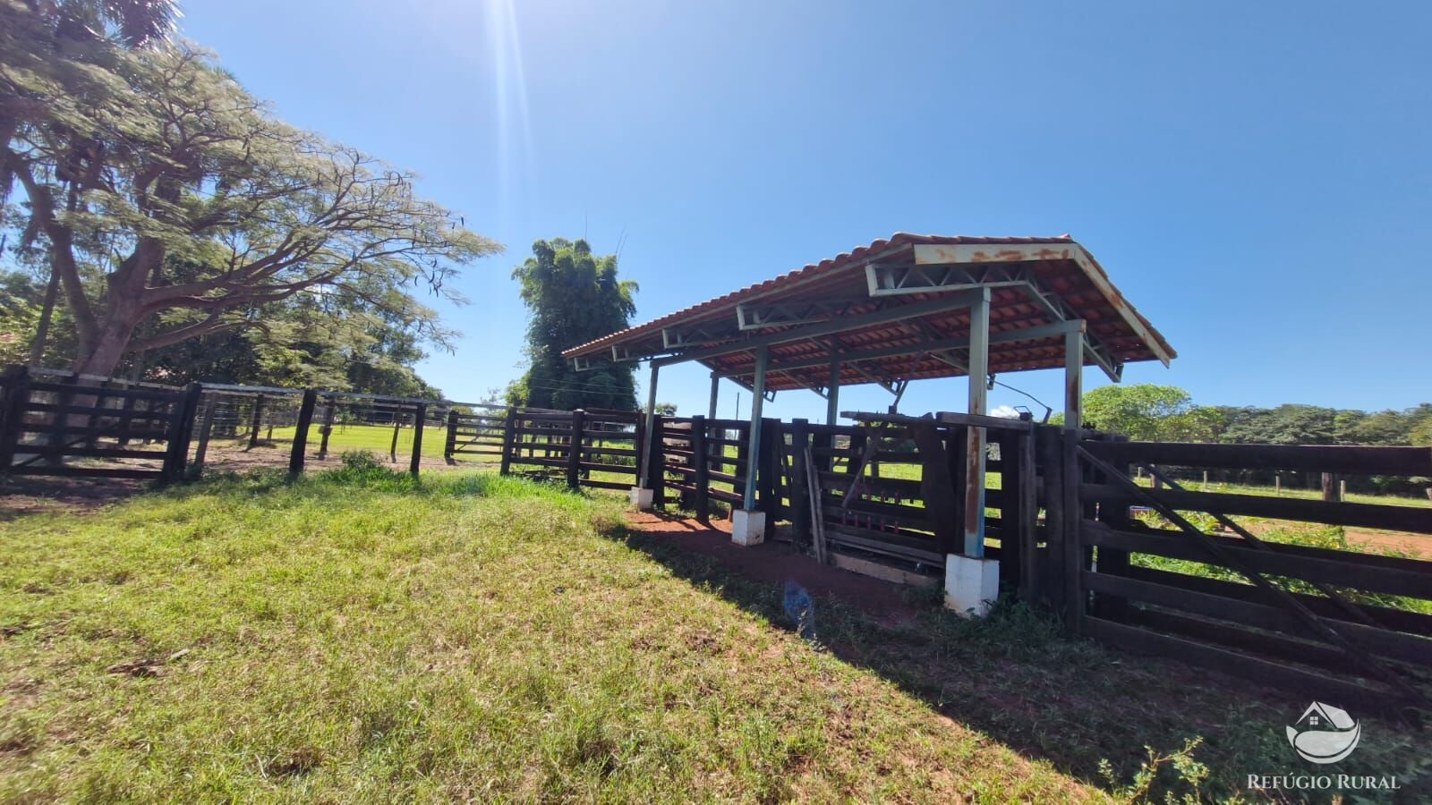 Fazenda à venda com 4 quartos, 822800m² - Foto 50