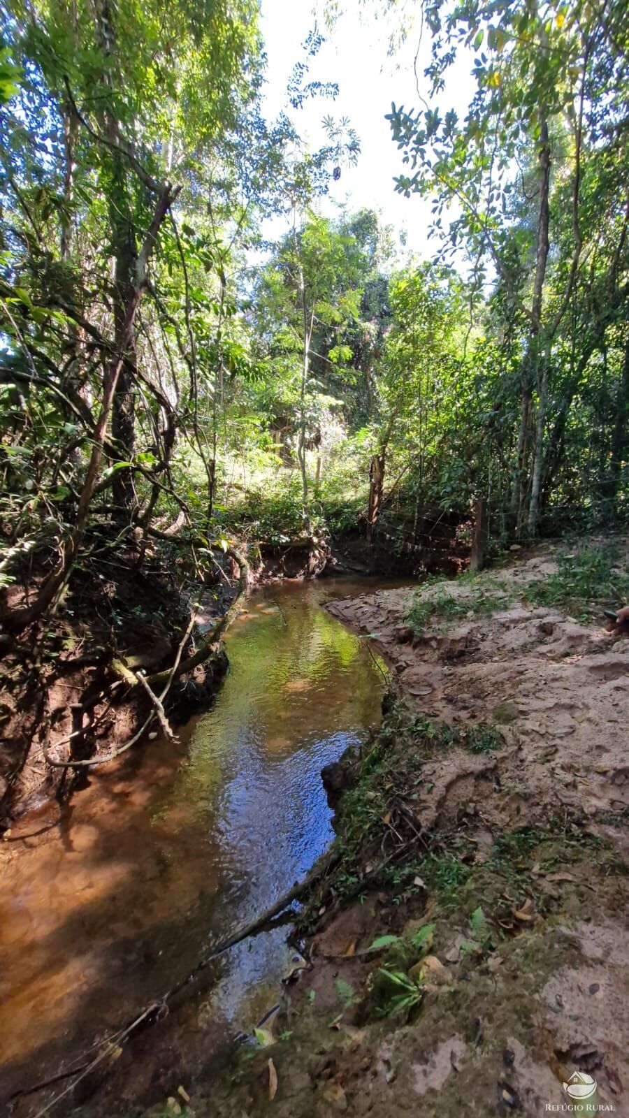 Fazenda à venda com 4 quartos, 822800m² - Foto 27