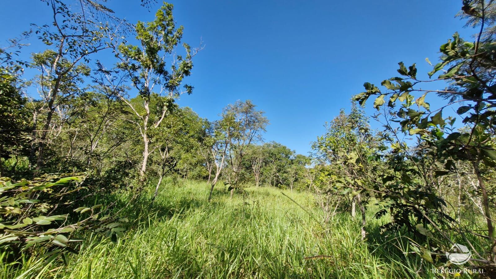 Fazenda à venda com 4 quartos, 822800m² - Foto 20