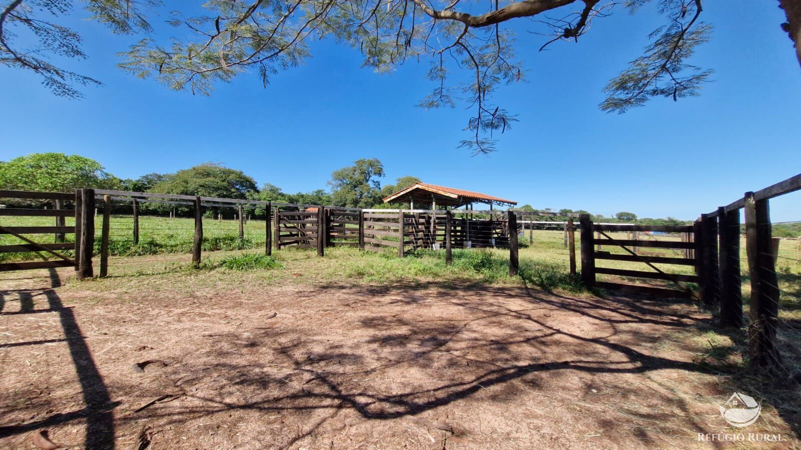 Fazenda à venda com 4 quartos, 822800m² - Foto 39