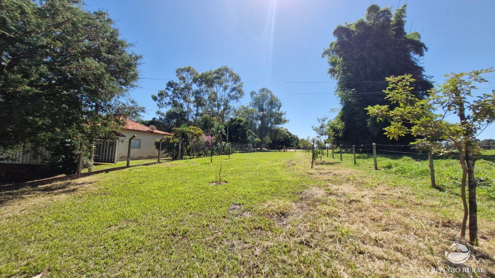 Fazenda à venda com 4 quartos, 822800m² - Foto 37