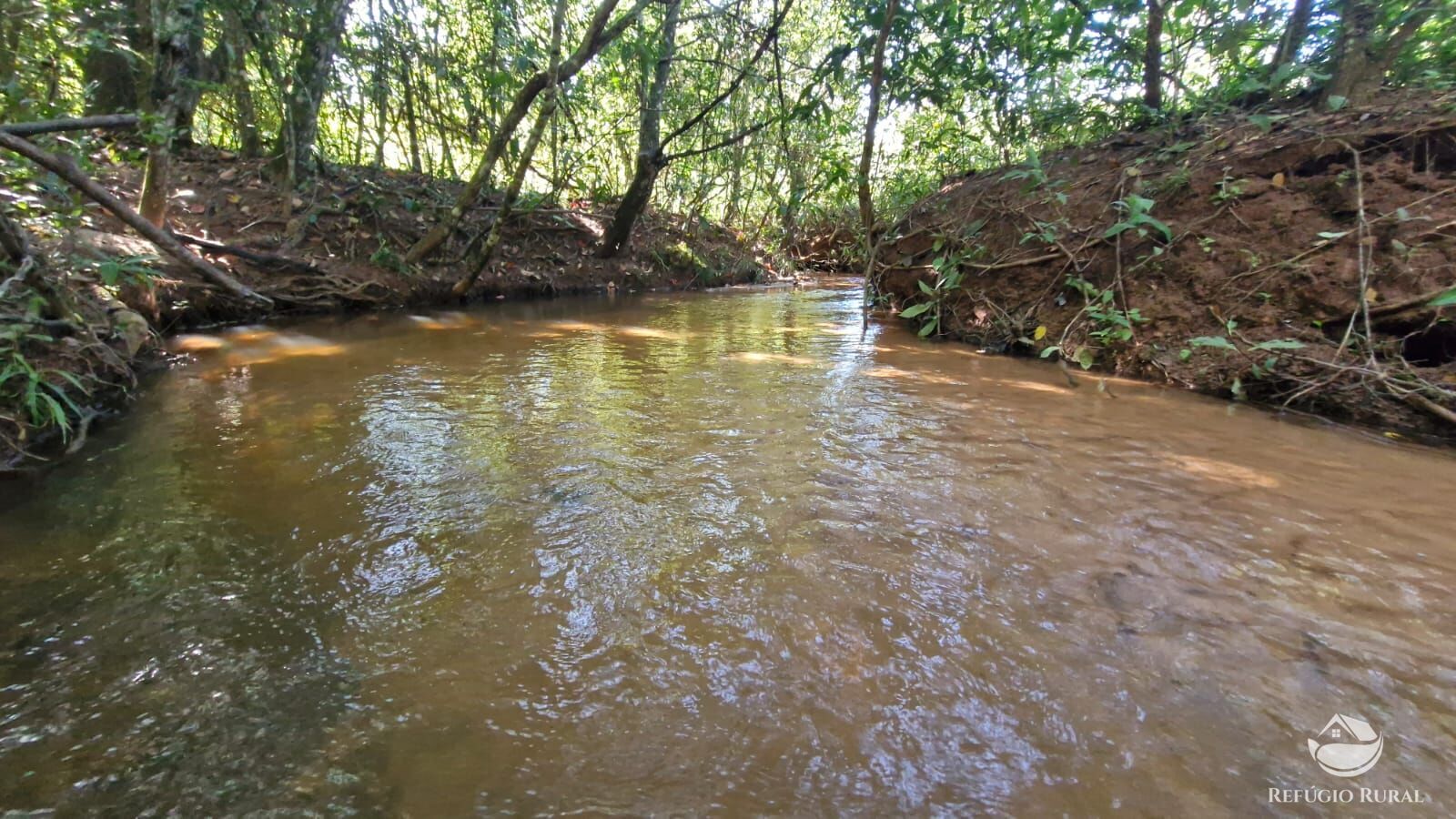 Fazenda à venda com 4 quartos, 822800m² - Foto 2