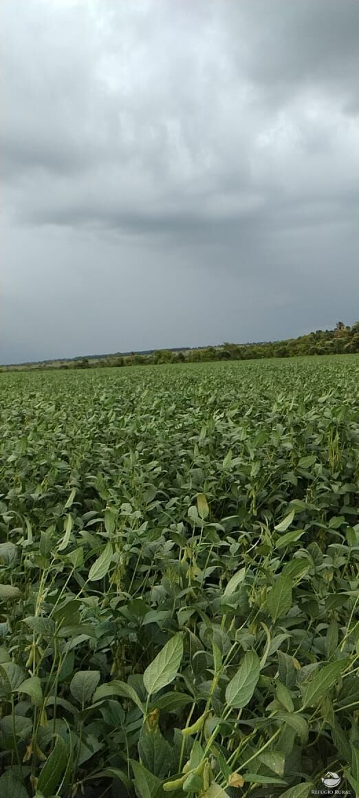 Fazenda à venda com 2 quartos, 17020000m² - Foto 4