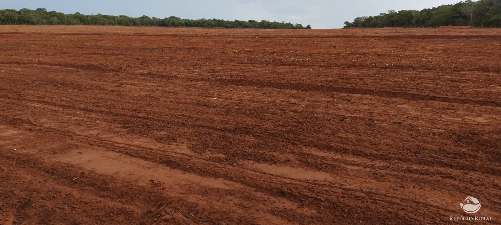 Fazenda à venda com 2 quartos, 17020000m² - Foto 8