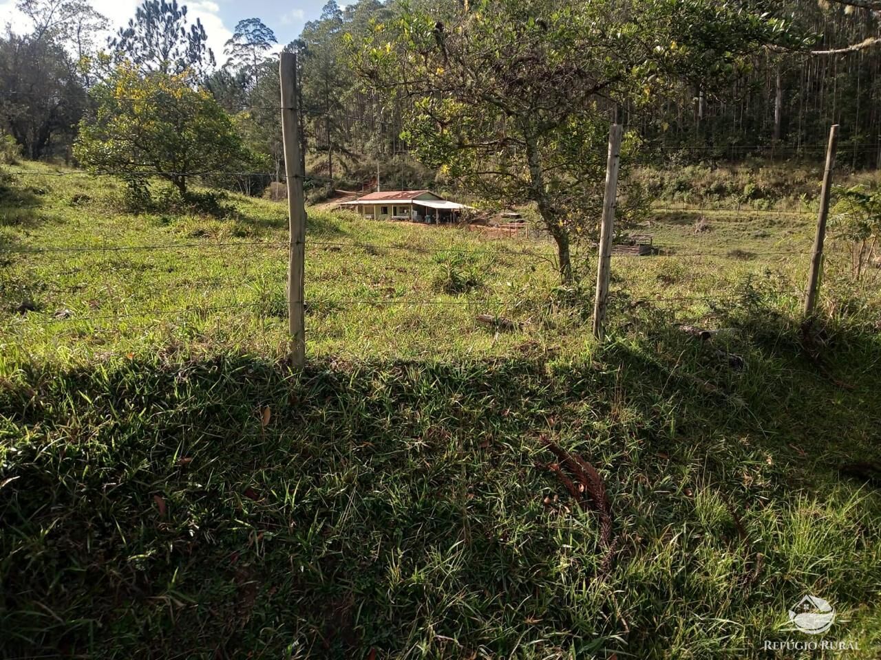 Sítio à venda com 2 quartos, 774400m² - Foto 4