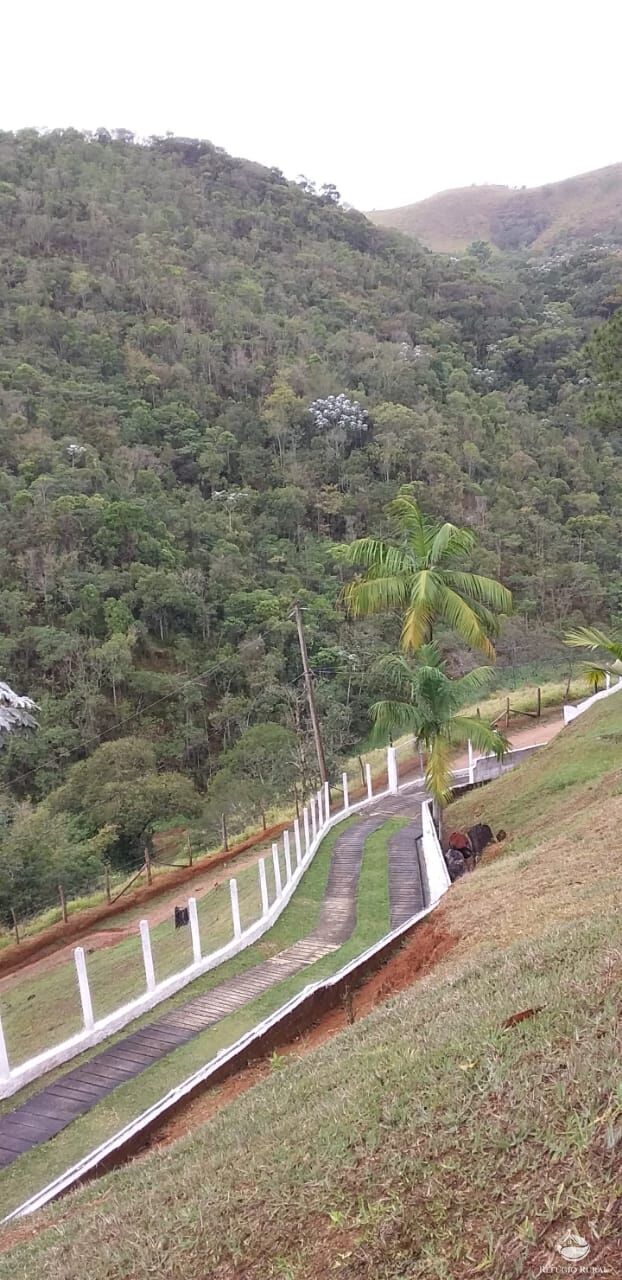 Sítio à venda com 3 quartos, 48400m² - Foto 6