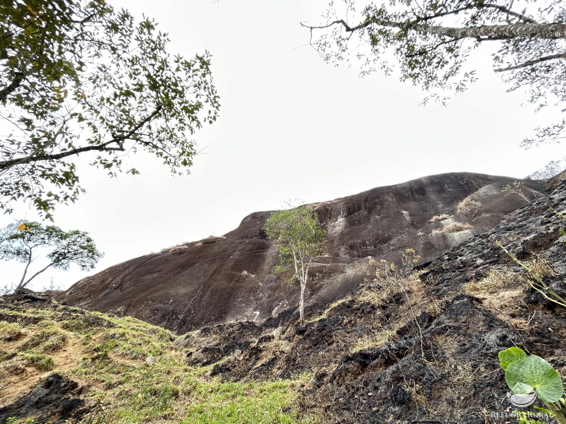 Terreno à venda, 20000m² - Foto 22