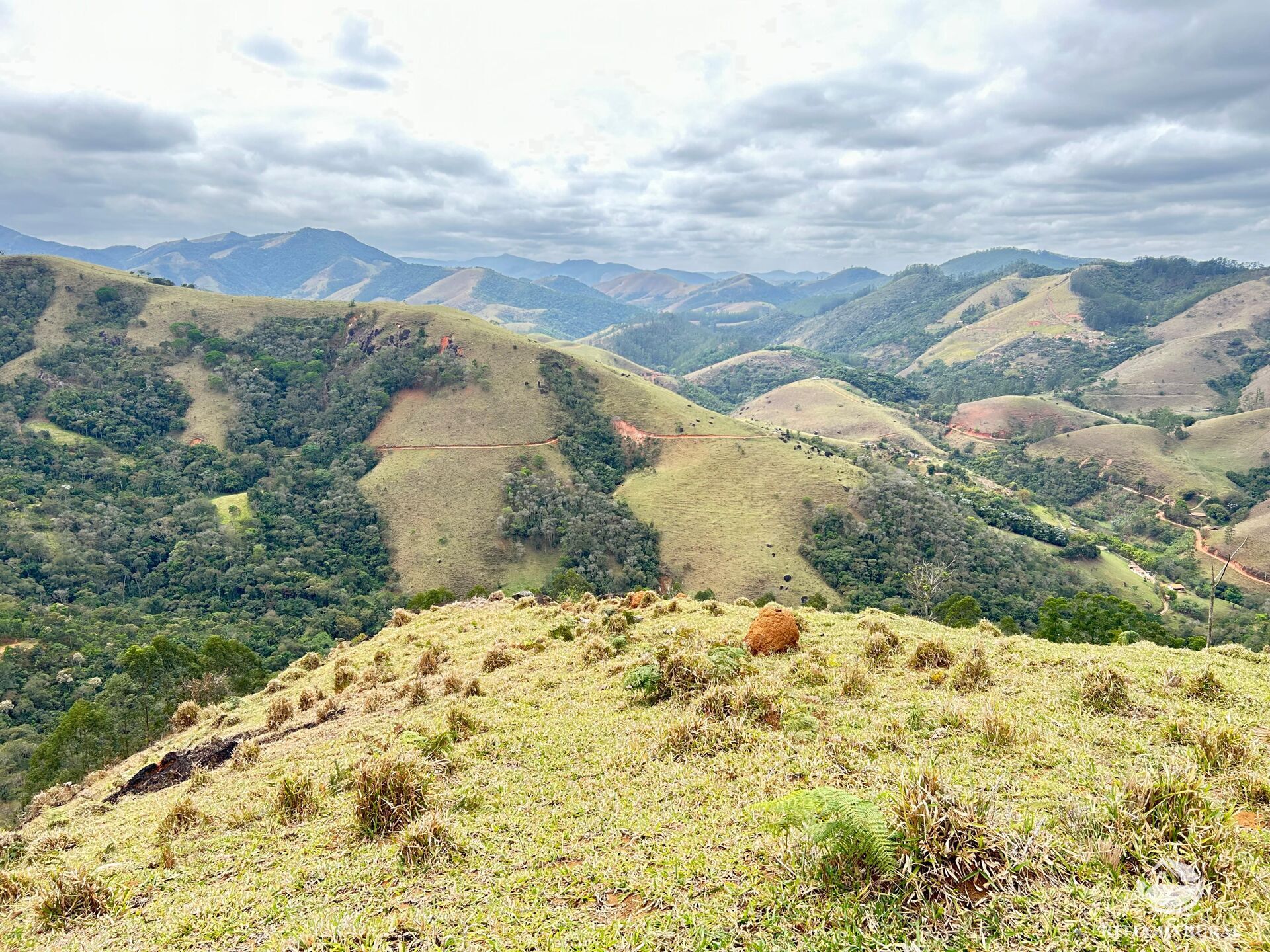 Terreno à venda, 20000m² - Foto 1