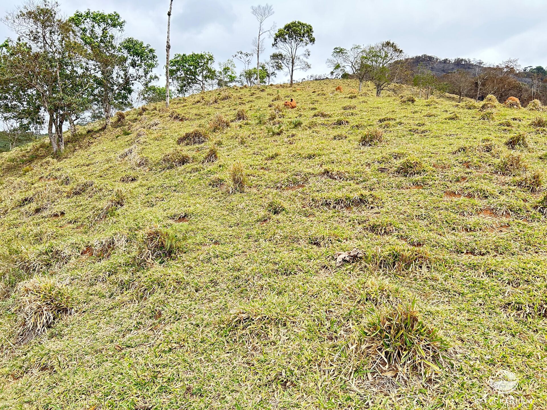 Terreno à venda, 20000m² - Foto 12