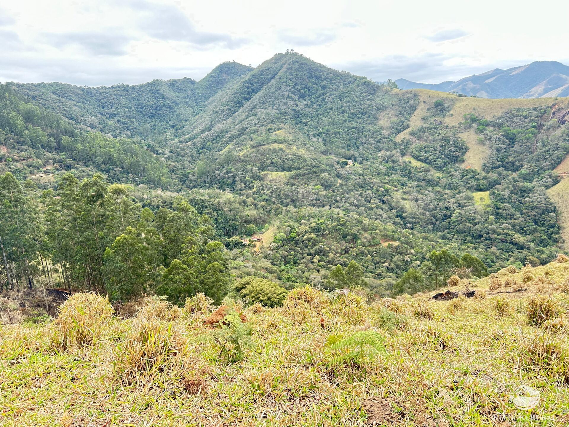 Terreno à venda, 20000m² - Foto 21