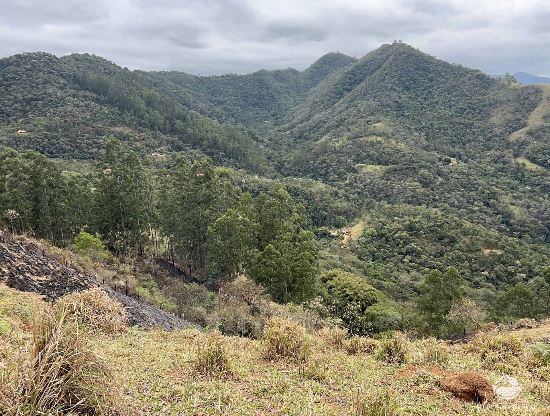 Terreno à venda, 20000m² - Foto 8