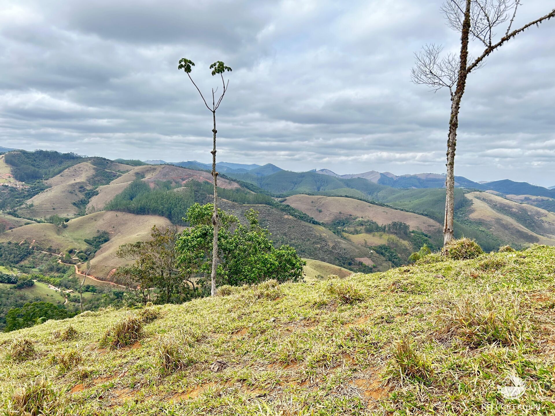 Terreno à venda, 20000m² - Foto 5