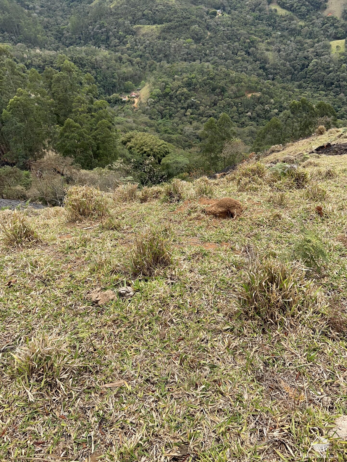 Terreno à venda, 20000m² - Foto 4