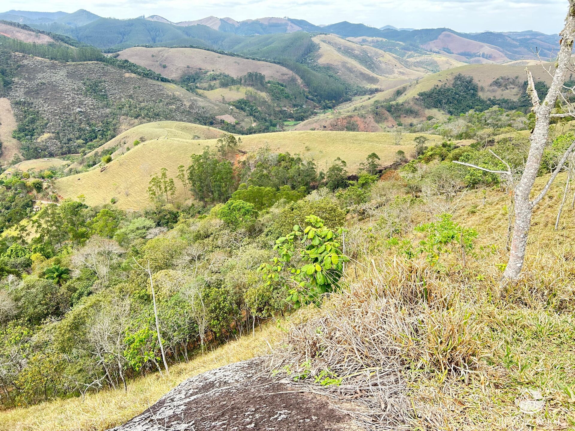 Terreno à venda, 20000m² - Foto 7