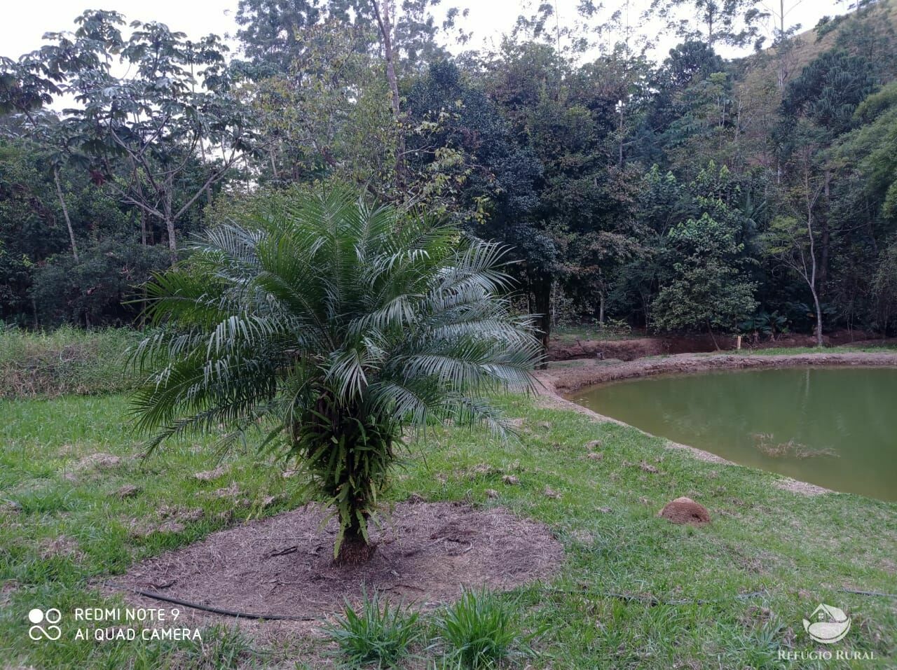 Fazenda à venda, 193600m² - Foto 12