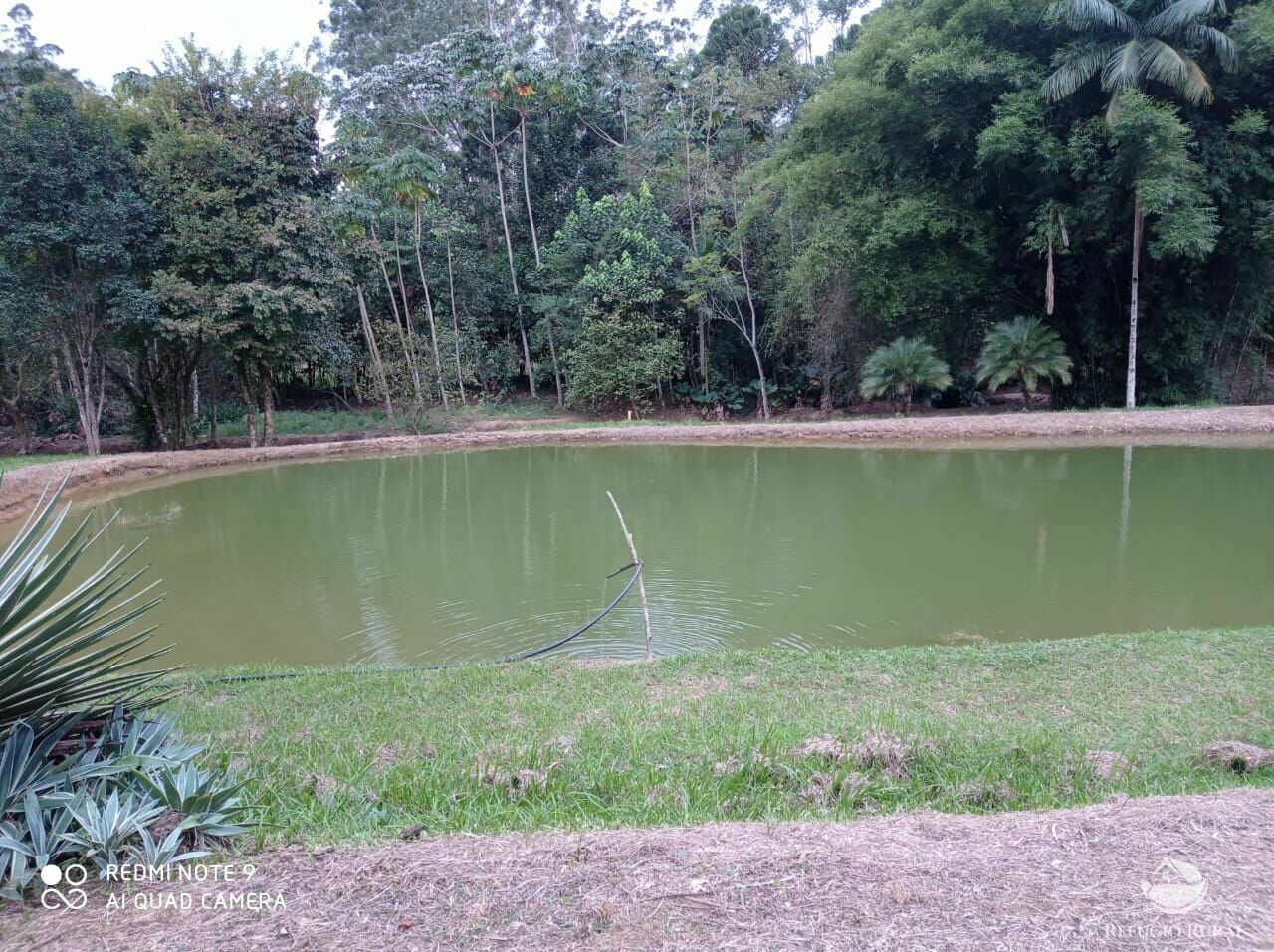 Fazenda à venda, 193600m² - Foto 16