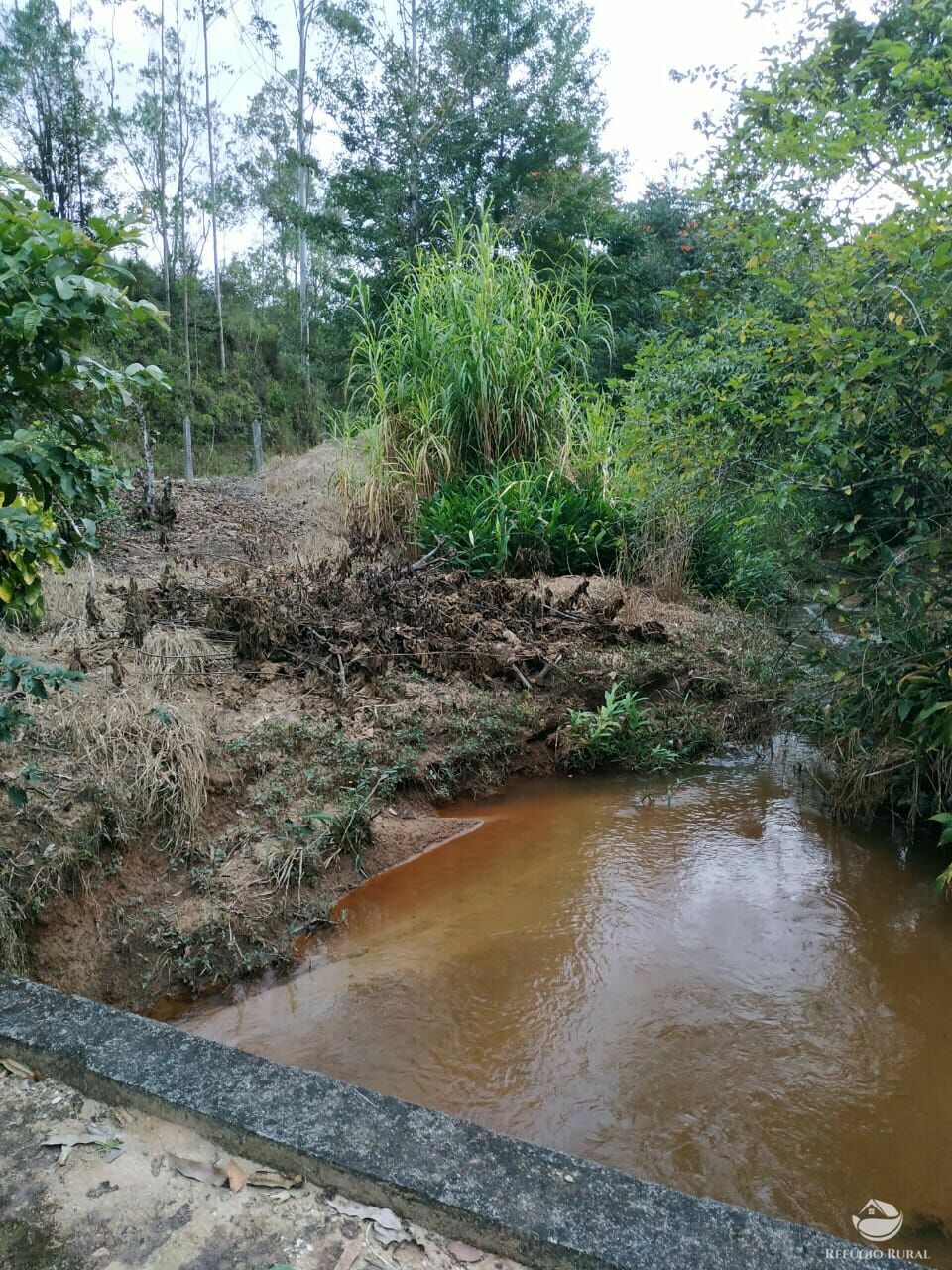 Fazenda à venda, 193600m² - Foto 4