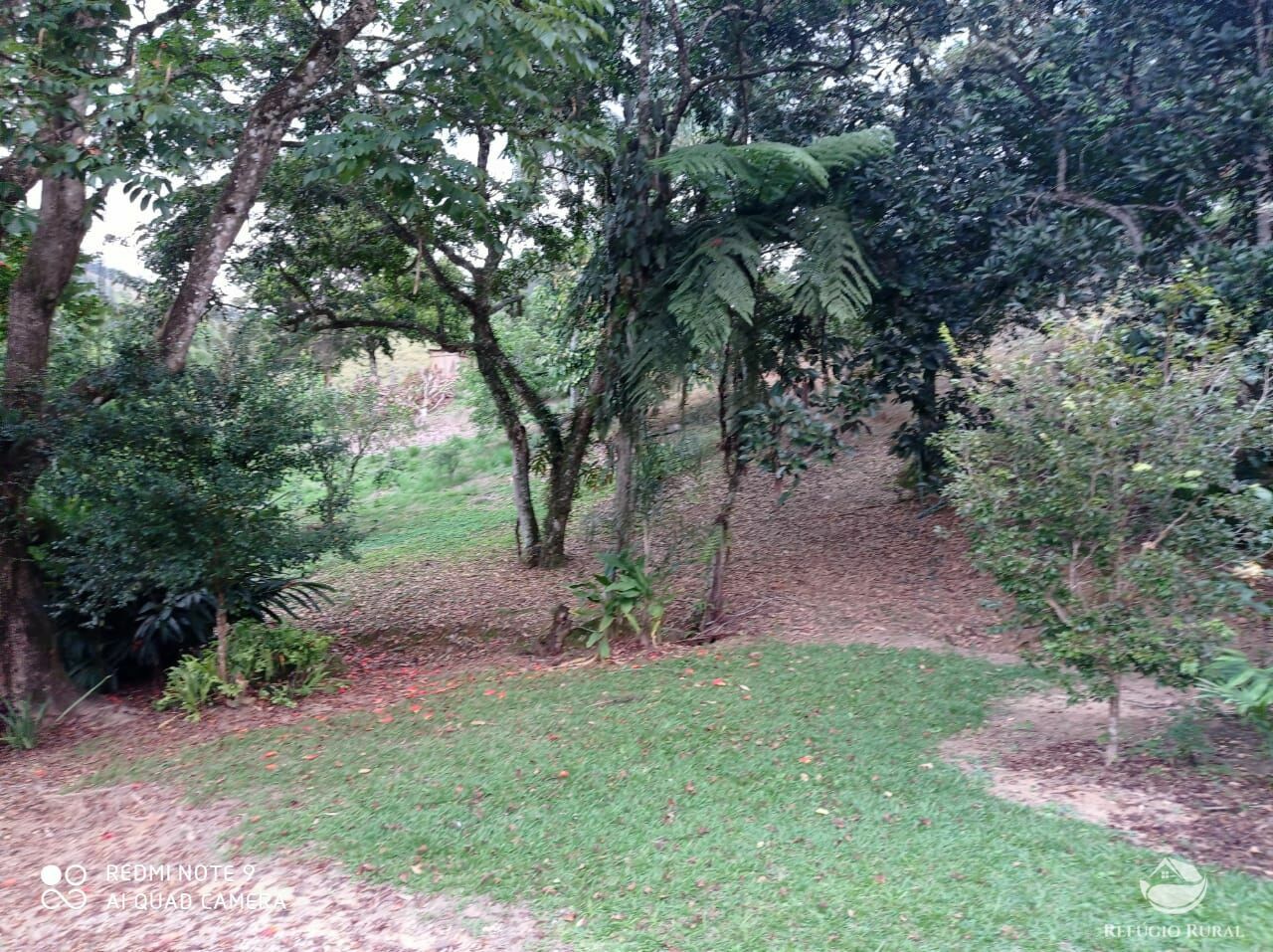 Fazenda à venda, 193600m² - Foto 17