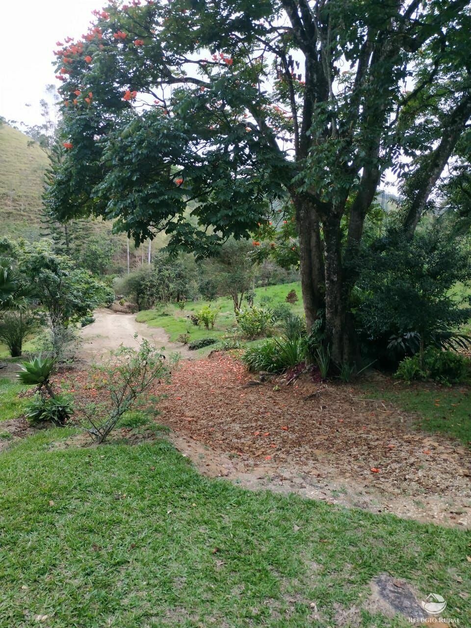 Fazenda à venda, 193600m² - Foto 18