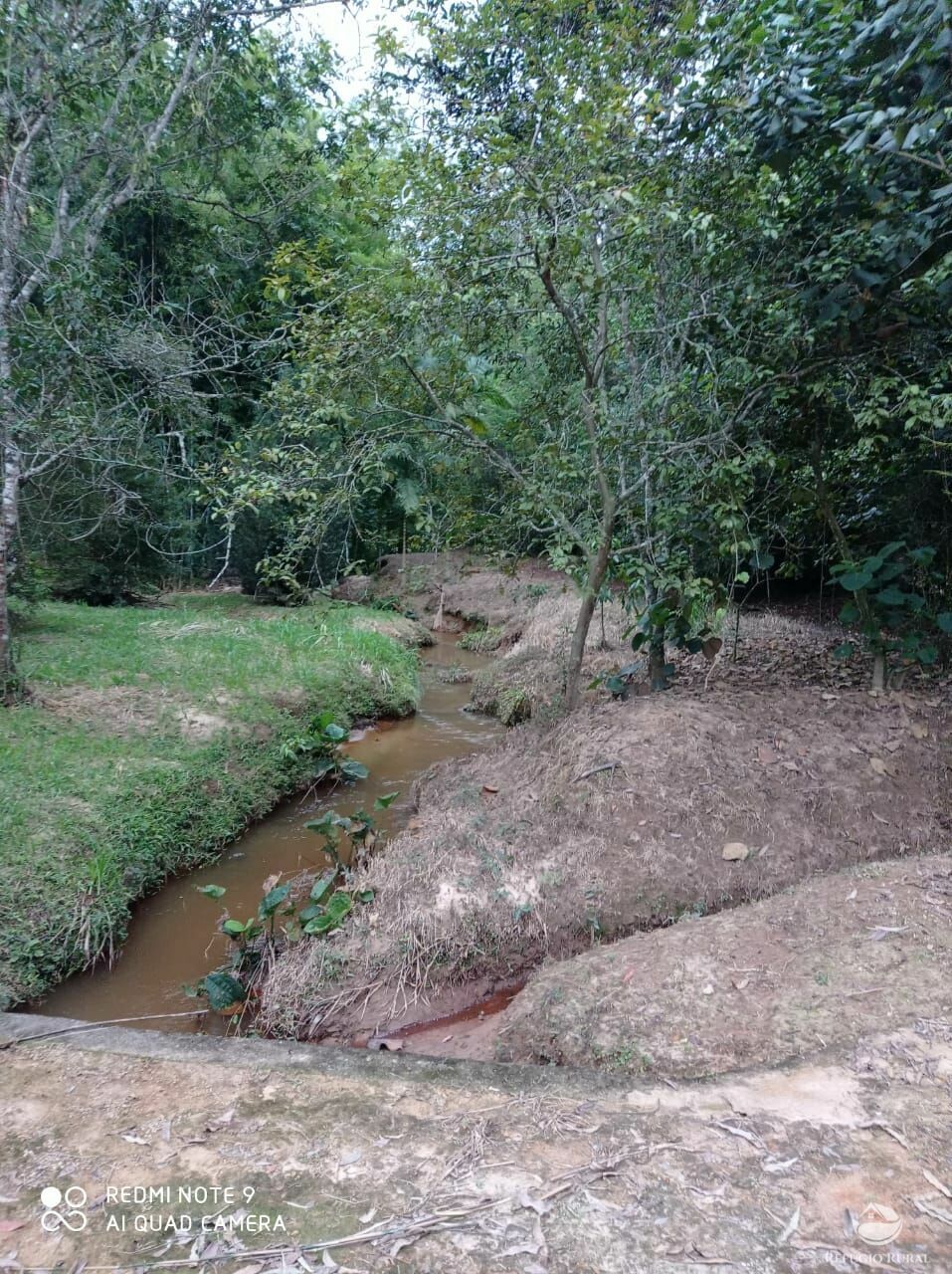 Fazenda à venda, 193600m² - Foto 6