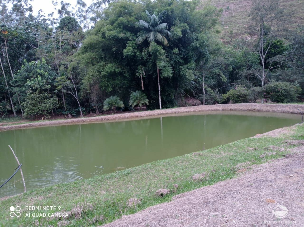 Fazenda à venda, 193600m² - Foto 5