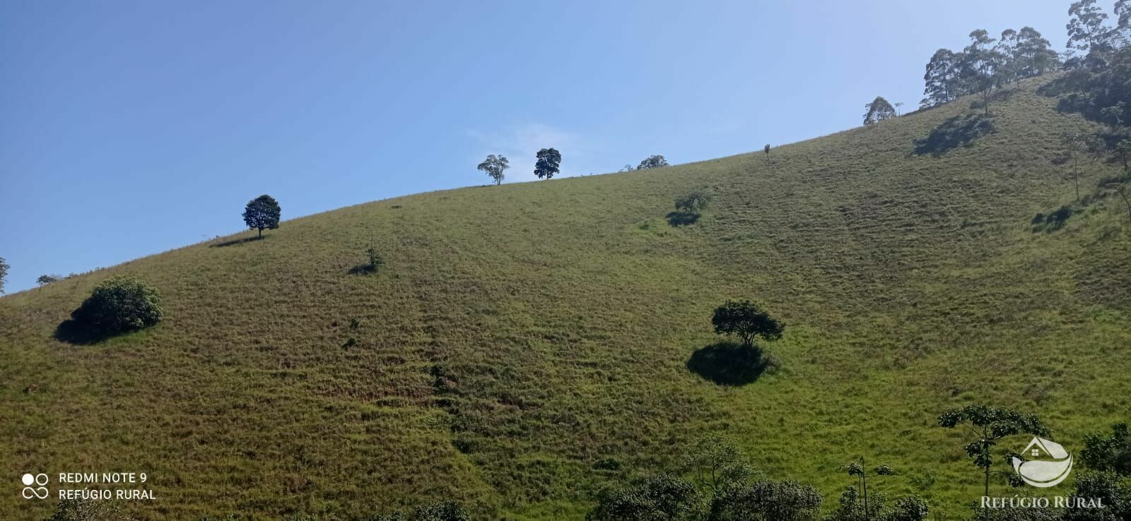 Fazenda à venda, 193600m² - Foto 33