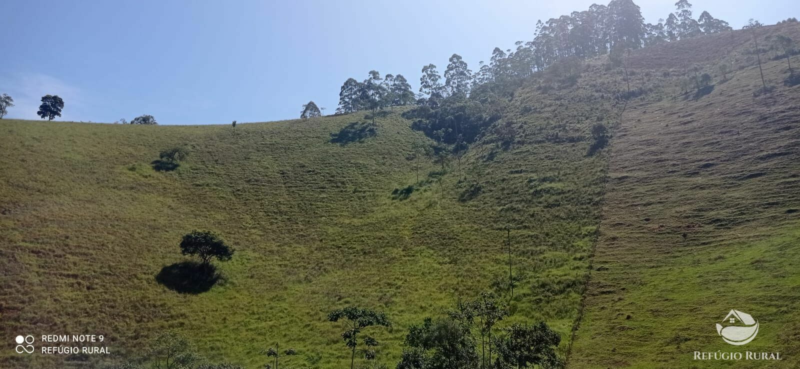 Fazenda à venda, 193600m² - Foto 32