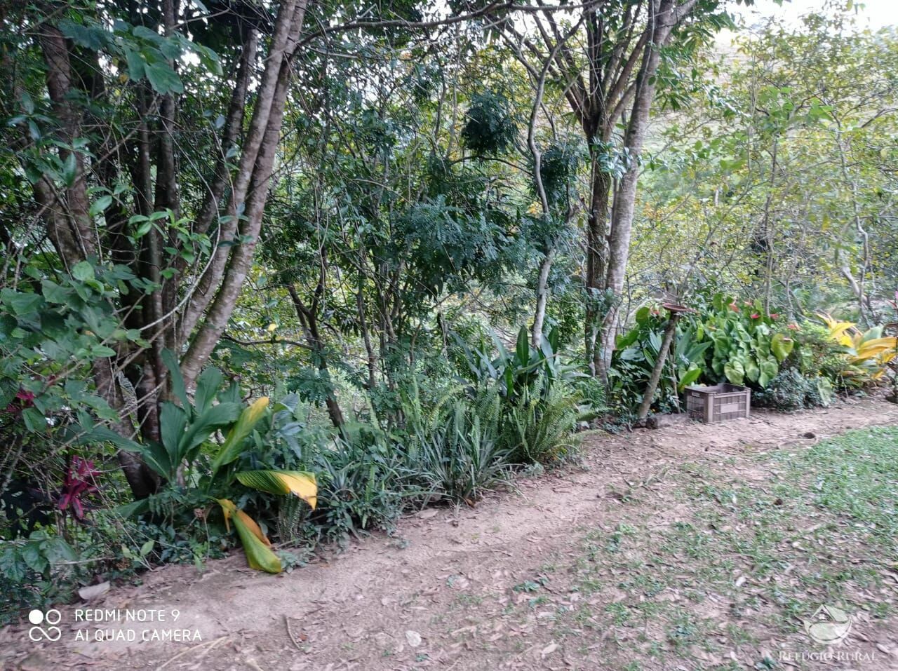 Fazenda à venda, 193600m² - Foto 14