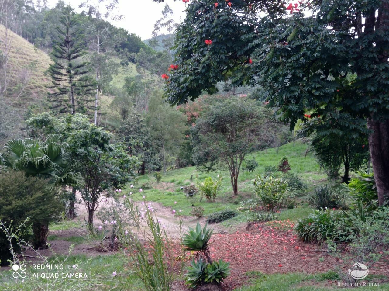 Fazenda à venda, 193600m² - Foto 13