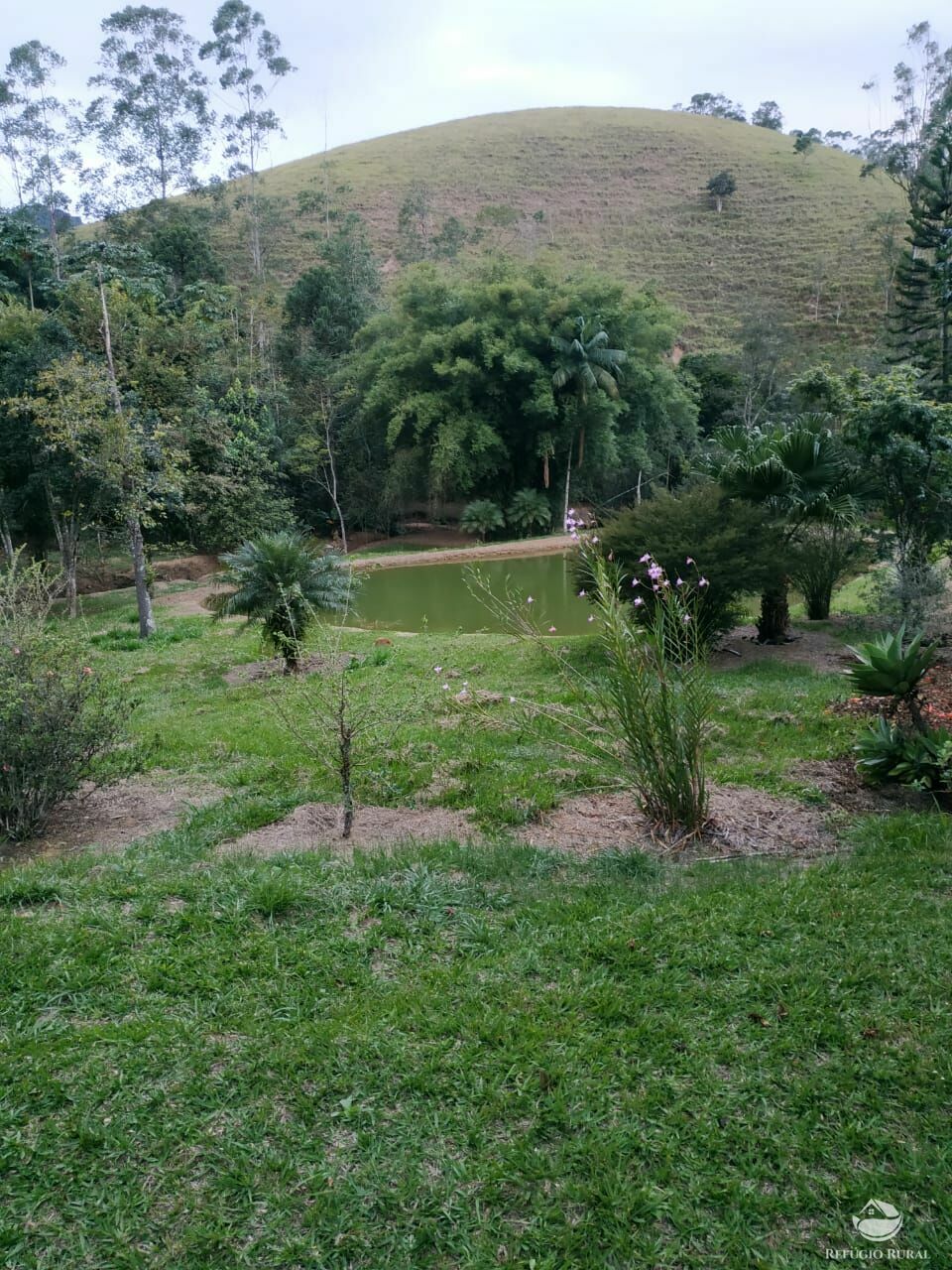 Fazenda à venda, 193600m² - Foto 23