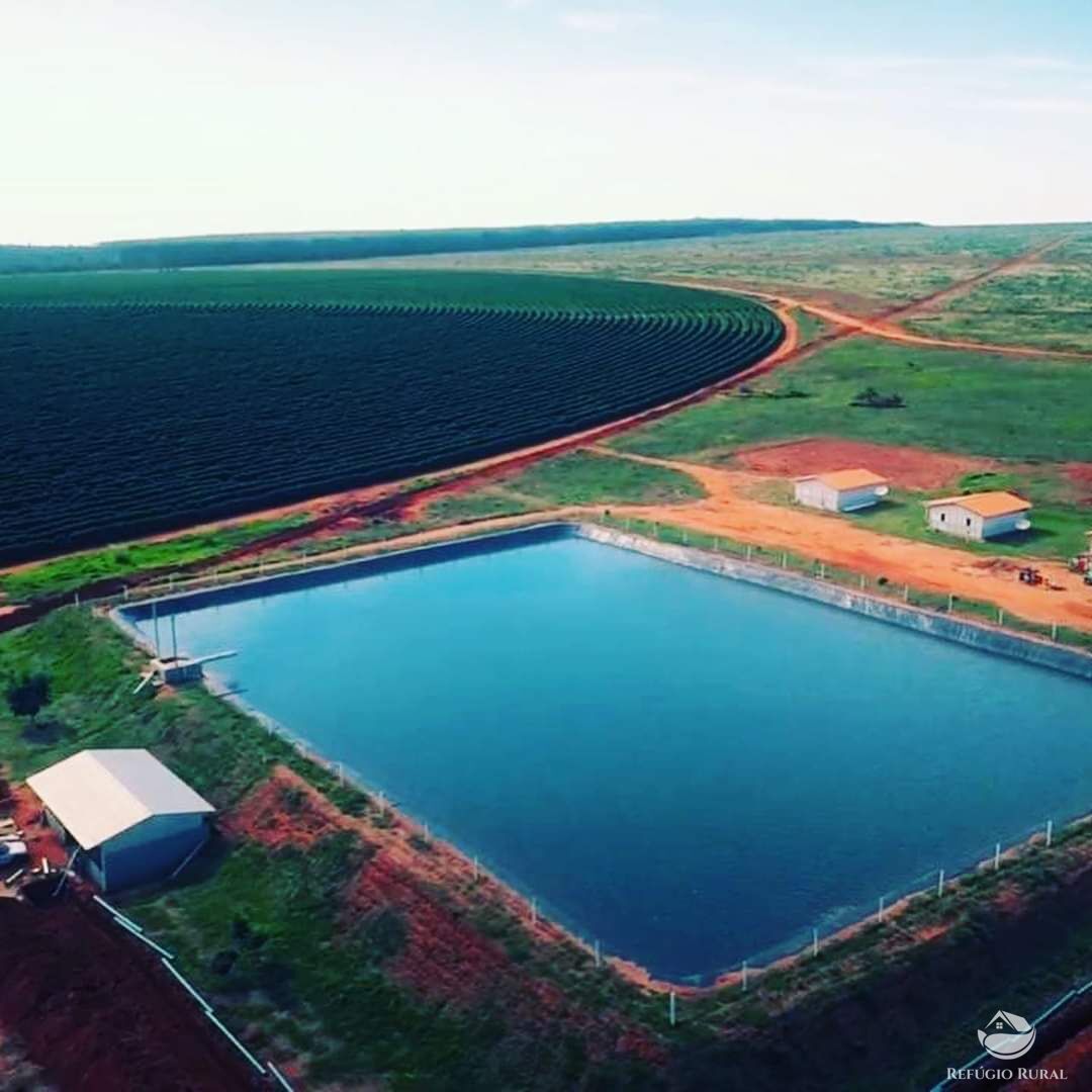 Fazenda à venda com 8 quartos, 20500000m² - Foto 8