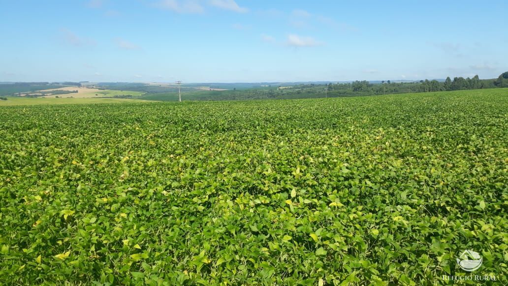 Fazenda à venda com 8 quartos, 20500000m² - Foto 20