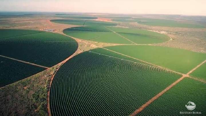 Fazenda à venda com 8 quartos, 20500000m² - Foto 2