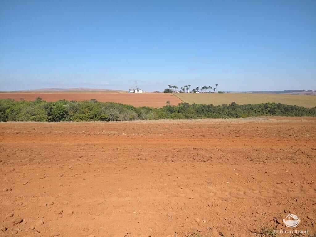 Fazenda à venda com 8 quartos, 20500000m² - Foto 22