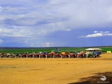 Fazenda à venda com 8 quartos, 20500000m² - Foto 13