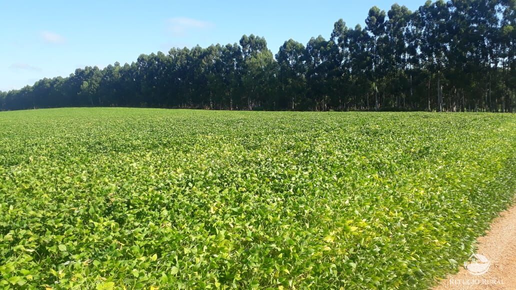 Fazenda à venda com 8 quartos, 20500000m² - Foto 18