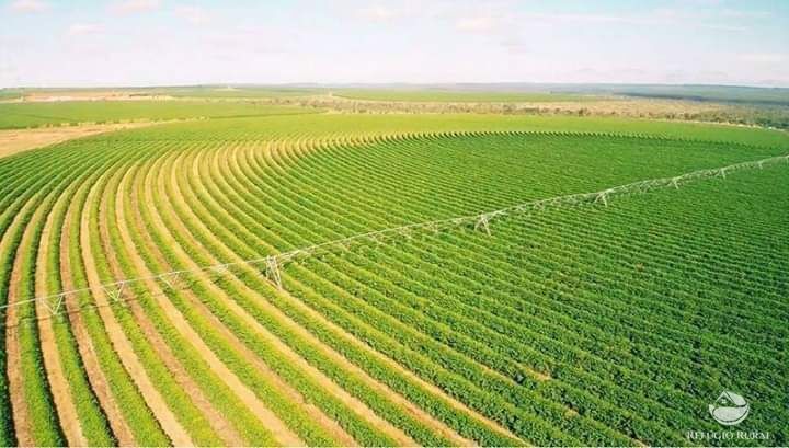 Fazenda à venda com 8 quartos, 20500000m² - Foto 28