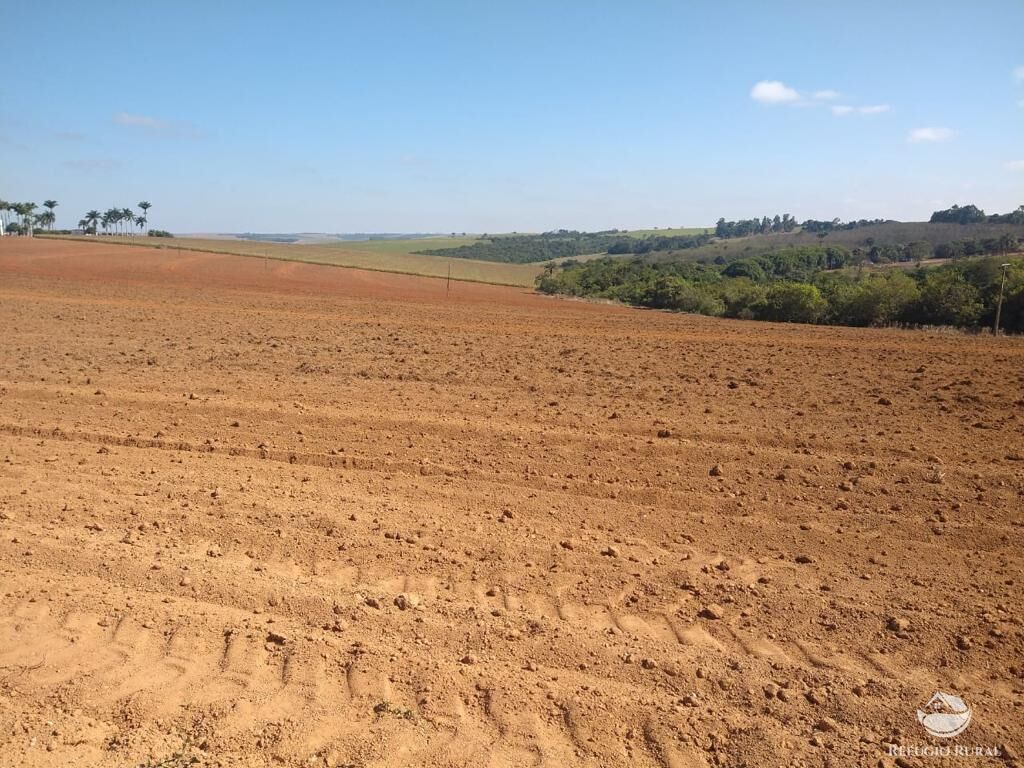 Fazenda à venda com 8 quartos, 20500000m² - Foto 23