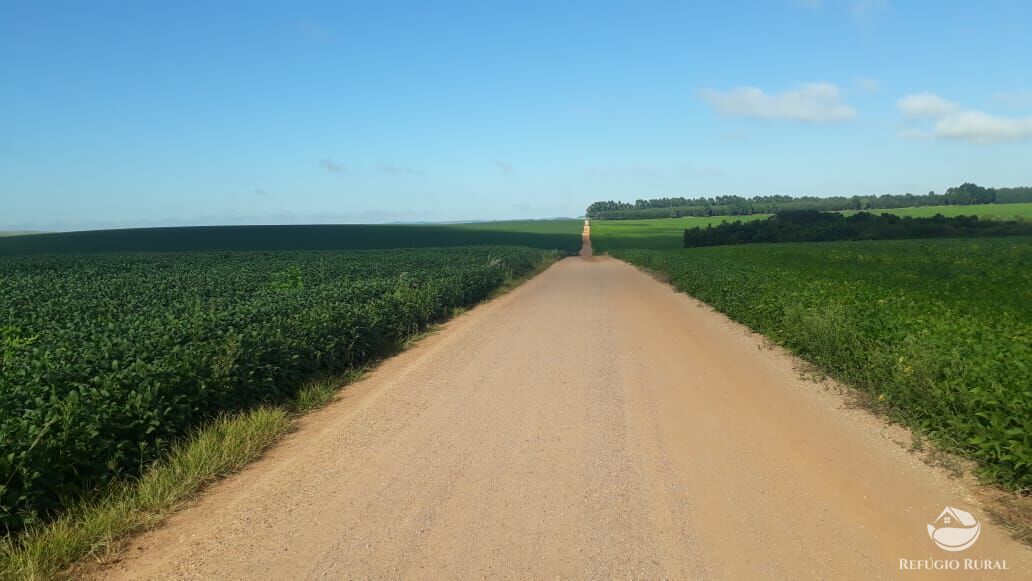 Fazenda à venda com 8 quartos, 20500000m² - Foto 19