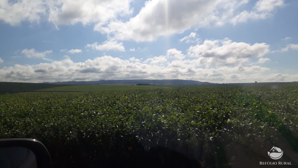 Fazenda à venda com 8 quartos, 20500000m² - Foto 16