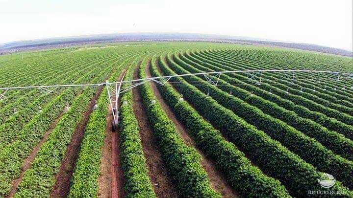 Fazenda à venda com 8 quartos, 20500000m² - Foto 1