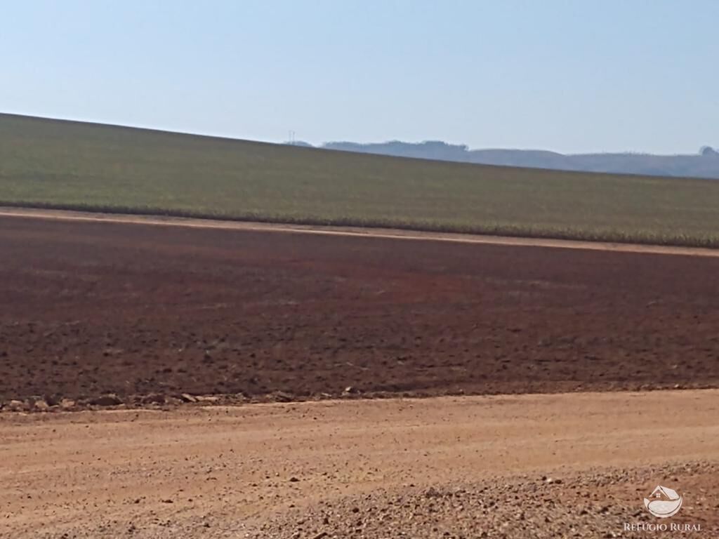 Fazenda à venda com 8 quartos, 20500000m² - Foto 21