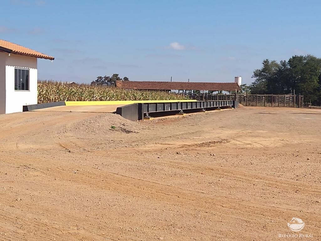 Fazenda à venda com 8 quartos, 20500000m² - Foto 25