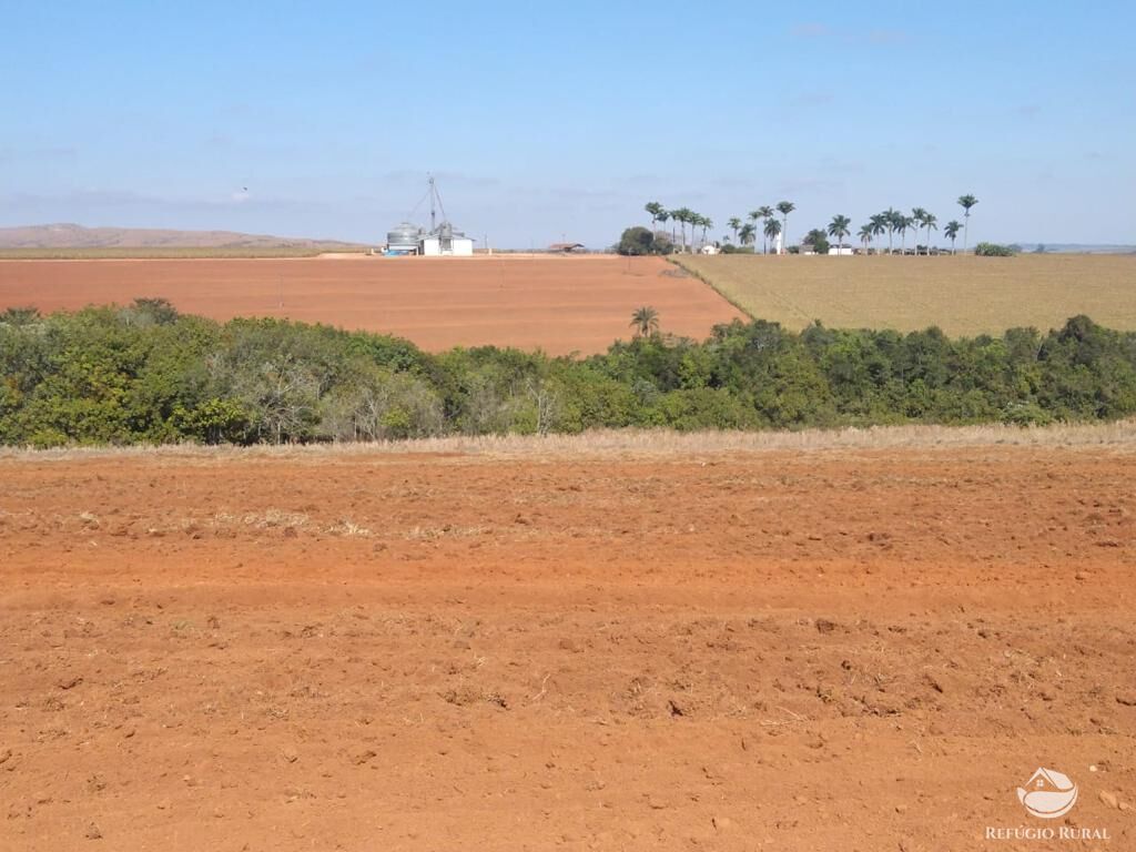 Fazenda à venda com 8 quartos, 20500000m² - Foto 29